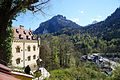 * Nomination Vue sur Château de Neuschwanstein de Hohenschwangau, Bavière.- Allemagne.--PIERRE ANDRE LECLERCQ 16:37, 6 February 2017 (UTC) * Promotion Good quality. --Cvmontuy 00:26, 7 February 2017 (UTC)